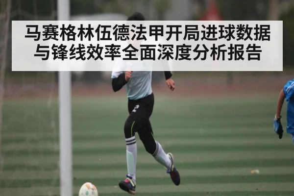 马赛格林伍德法甲开局进球数据与锋线效率全面深度分析报告 | kaiyun