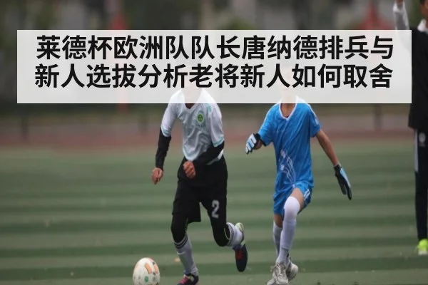 莱德杯欧洲队队长唐纳德排兵与新人选拔分析老将新人如何取舍
